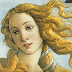 DIOSA-VENUS-000